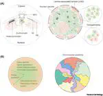 New review on the role of 3D genome folding in epigenetic regulation and cellular memory. Check it out!