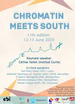 Conference: Chromatin meets South 2025