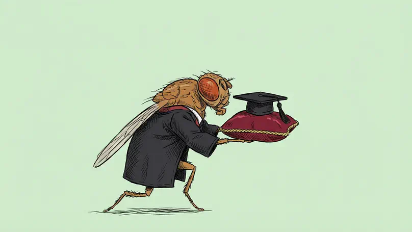 Well done Ana-Maria!