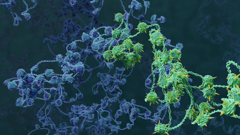 Paper alert: Transient histone deacetylase inhibition induces cellular memory of gene expression and 3D genome folding!