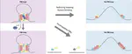 A protein code for chromatin looping?
